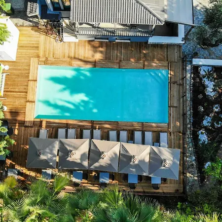Palm House Appartement Cedit
