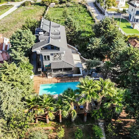 Palm House Appartement Cedit